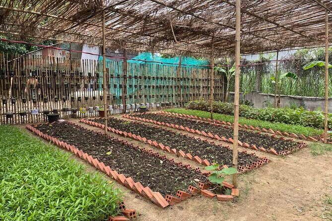 Phnom Penhs Hands-On Khmer Cooking Class in the Countryside - FAQs