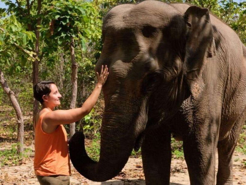 Phnom Tamao Wildlife Center & Buddha Kiri Cambodia Day Tour - Pickup and Transportation