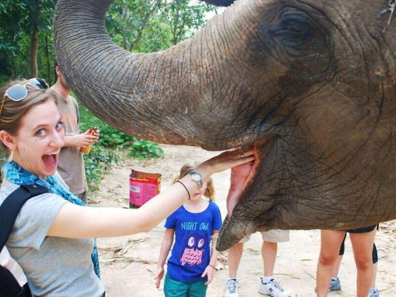 Phnom Tamao Wildlife Center & Buddha Kiri Cambodia Day Tour - Tonle Bati and Ta Prohm Temple