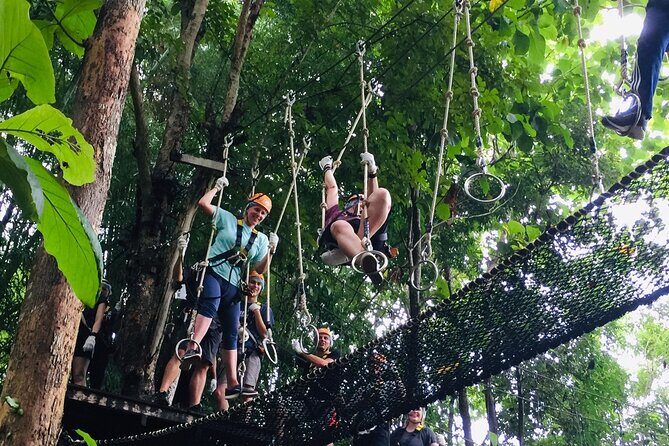 Phoenix Adventure Park Zipline, High Rope Course In Chiang Mai - The Authentic Experience of Moving Through the Trees