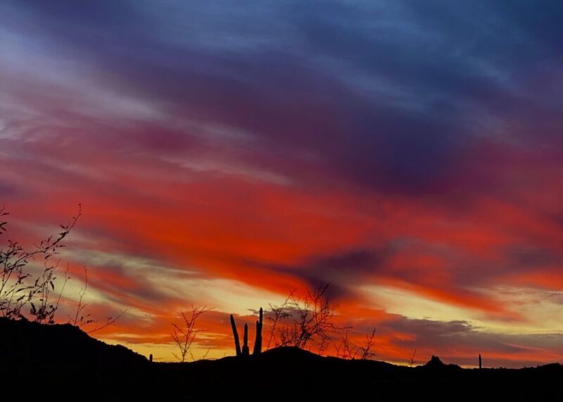Phoenix: Amazing Two-Hour Guided Hike in the Sonoran Desert - The Sum Up