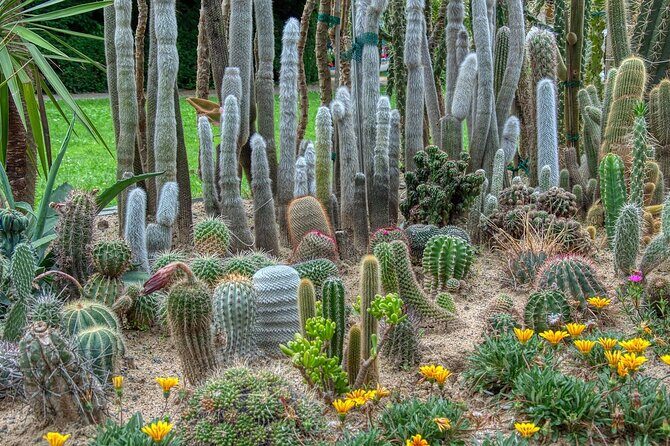 Phoenix Landmarks Tour Desert Botanical Garden - Key Points