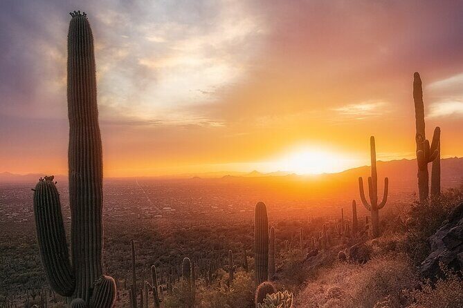 Phoenix Landmarks Tour Desert Botanical Garden - What We Think About the Experience