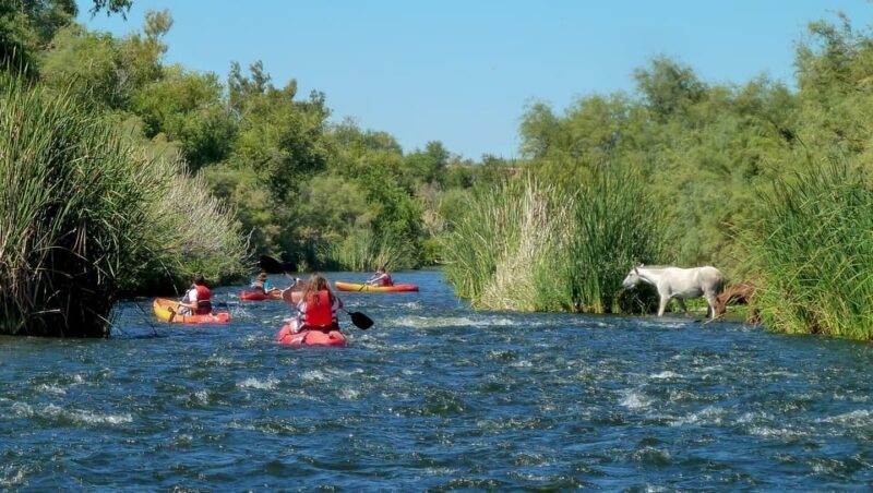 Phoenix: Self-Guided Kayaking Trip to Foxtail - Key Points