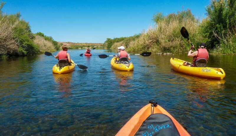 Phoenix: Self-Guided Kayaking Trip to Foxtail - Wildlife and Landscape