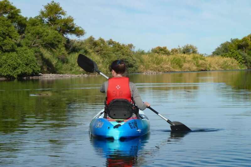 Phoenix: Self-Guided Kayaking Trip to Foxtail - Who Will Love This Trip?