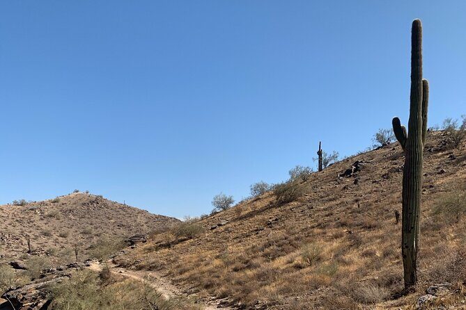 Phoenix South Mountain Hiking Tour Experience - Key Points