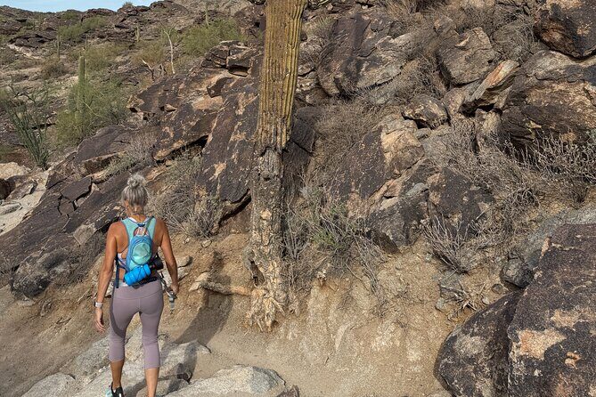 Phoenix South Mountain Hiking Tour Experience - Detailed Review of the Phoenix South Mountain Hiking Tour