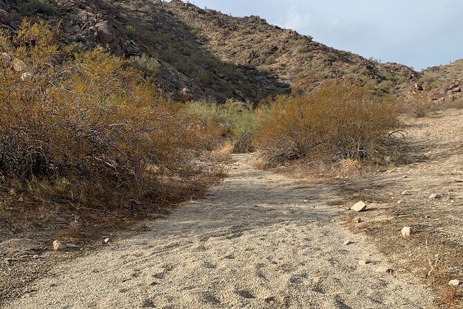Phoenix South Mountain Hiking Tour Experience - Final Thoughts