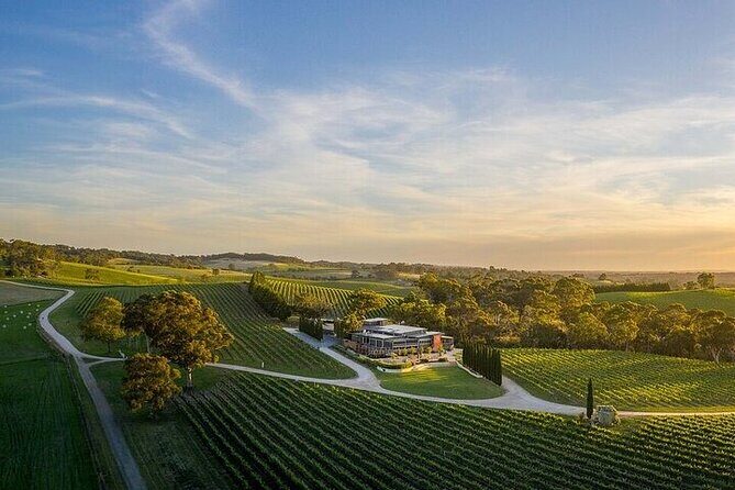 Phoenix Vortex to Vineyard Shared Tour - Phoenix Vortex to Vineyard Shared Tour: An In-Depth Look