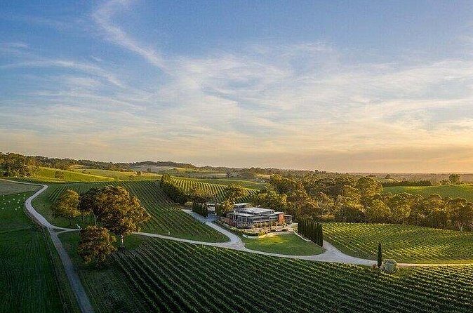 Phoenix Vortex to Vineyard Shared Tour - FAQs