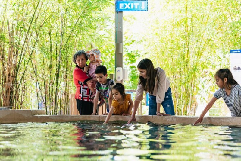 Phoenix Zoo One Day General Admission Ticket - Key Points