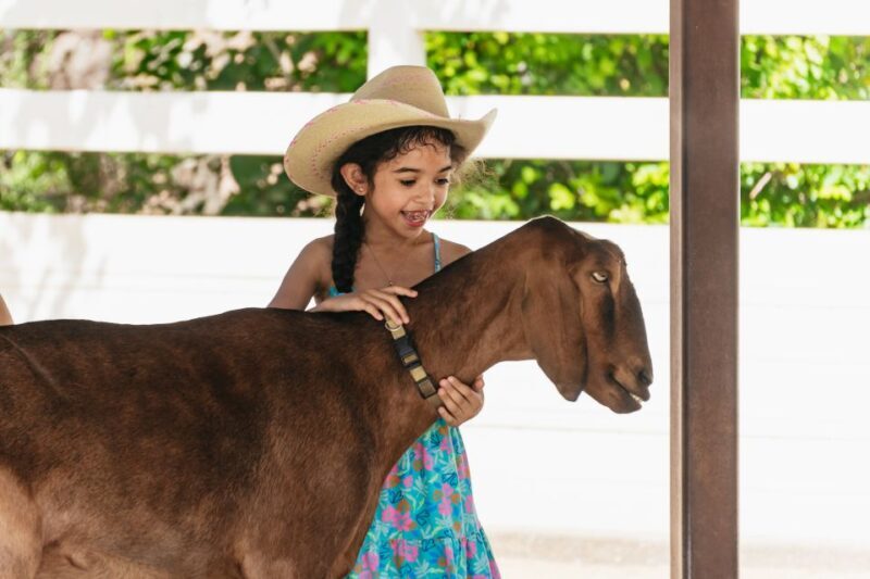 Phoenix Zoo One Day General Admission Ticket - Practical Considerations and Tips
