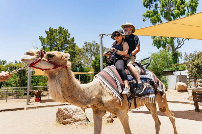Phoenix Zoo One Day General Admission Ticket - FAQ