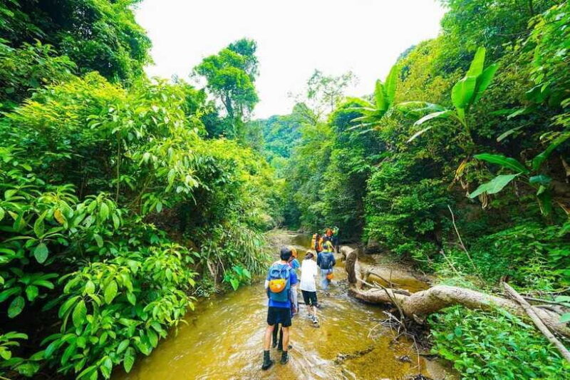 Phong Nha: ELEPHANT CAVE & MA DA VALLEY JUNGLE TREK 1D - What Sets This Tour Apart?