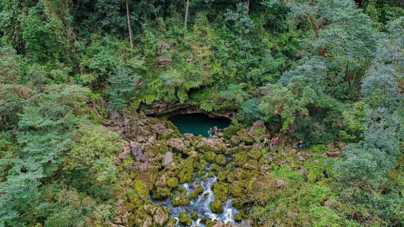 Phong Nha: ELEPHANT CAVE & MA DA VALLEY JUNGLE TREK 1D - Considerations for Potential Travelers