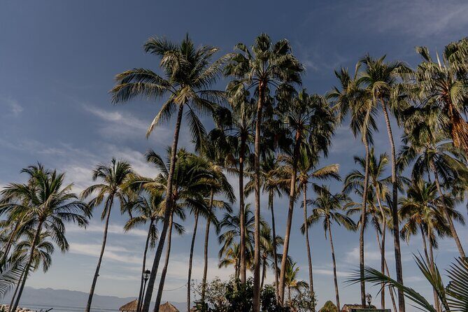 Photo Session Experience in Vallarta - Exploring the Experience