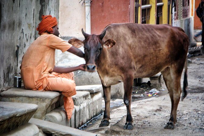 Photo Tour In Holy Varanasi - An In-Depth Look at the Itinerary and What to Expect