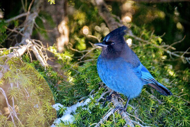 Photography & Advanced Hiking - Key Points
