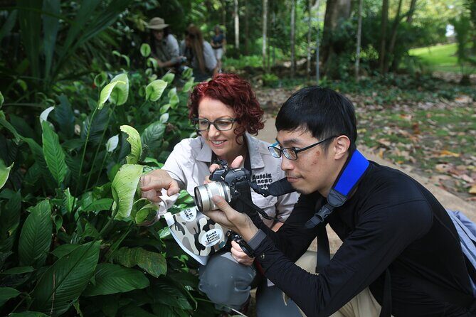 Photography and Nature in Cairns Botanic Gardens Let's Go Buggin - What to Expect from the Tour
