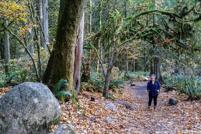 Photography in Rainforest & Suspension Bridge - Who Will Love This Experience?