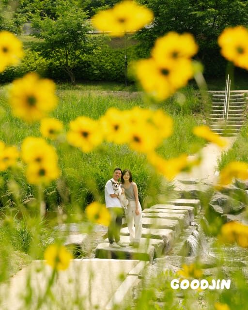 Photography: Personalized Seoul Snapshots - The Experience and Group Size