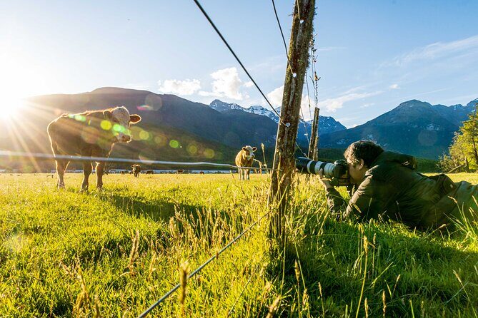 Photography Tour from Queenstown to Glenorchy - 1/2 Day - Pricing and Value