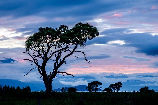 Photography Tour from Queenstown to Glenorchy - 1/2 Day - Final thoughts