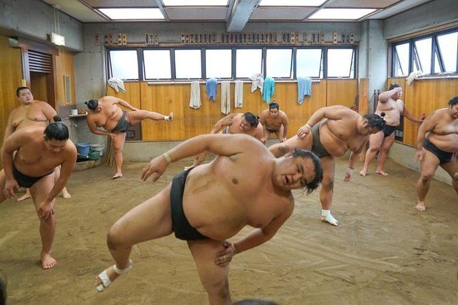 [Photos with Wrestlers] Exclusive Access to Sumo Morning Practice - A Closer Look at the Itinerary