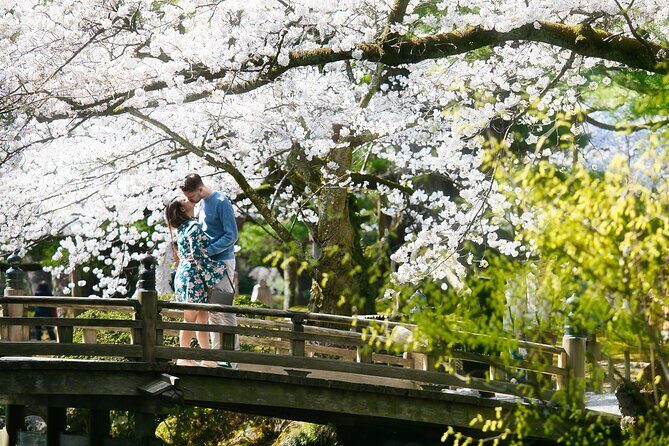 Photoshoot session by professional photographer in Kanazawa - Who Is This Tour Best For?