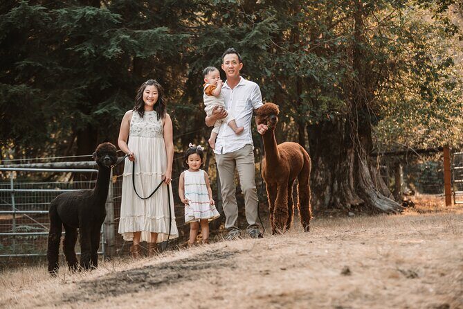Photoshoot with Alpacas and Farm Experience near Seattle - A Heartwarming Encounter with Farm Animals Near Seattle