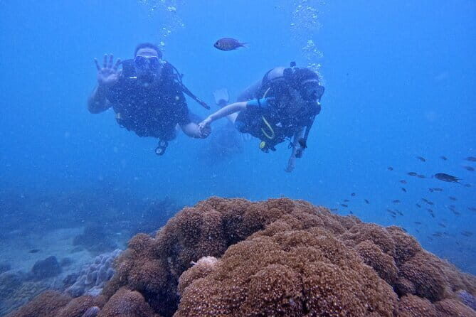 Phu Quoc Car Charter Rental - The Sum Up