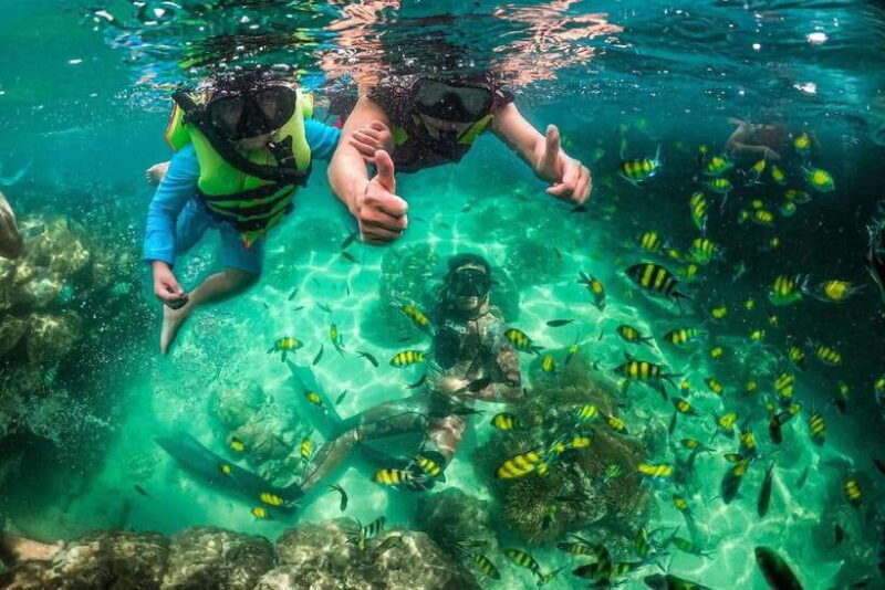 Phu Quoc Four Islands by Canoe and Enjoy Cable Car - Authenticity and Traveler Feedback