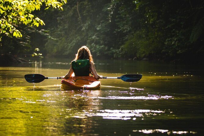 Phu Quoc Northern Discovery and River Kayaking Tour - The Food and Additional Details
