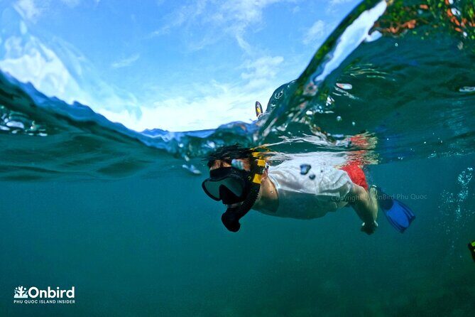 [Phu Quoc] Private Speedboat & Short-Snorkel: South Hidden Reefs - Who Would Benefit Most from This Tour?