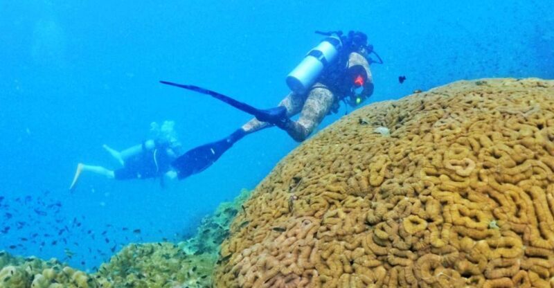 Phu Quoc: Scuba Diving Experience for All Levels - A Closer Look at the Phu Quoc Scuba Diving Tour