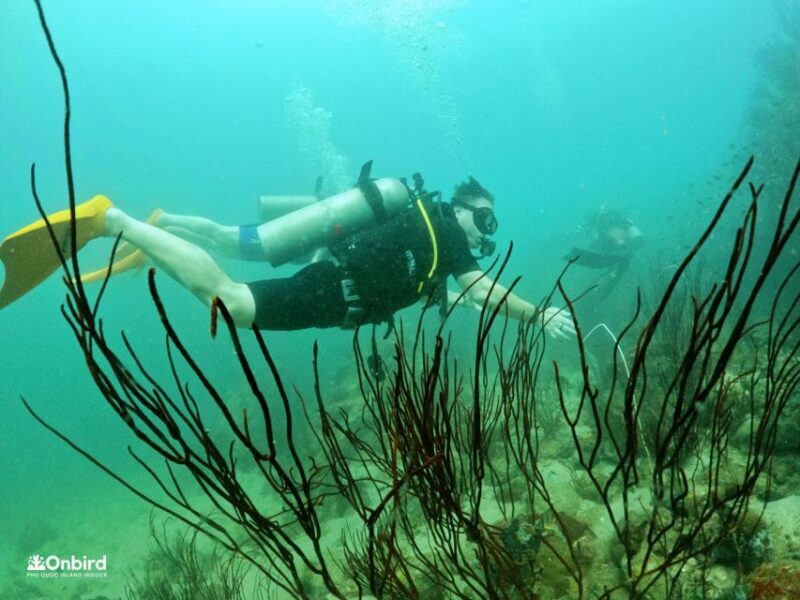 Phu Quoc: Scuba Diving Experience for All Levels - Frequently Asked Questions