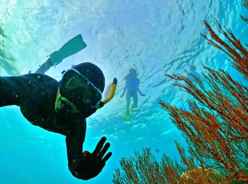 Phu Quoc Small-group Snorkeling to the Coral Jungle Reef - An In-depth Look at the Experience