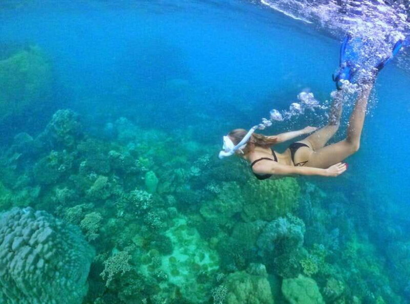Phu Quoc Small-group Snorkeling to the Coral Jungle Reef - Who Should Consider This Tour?