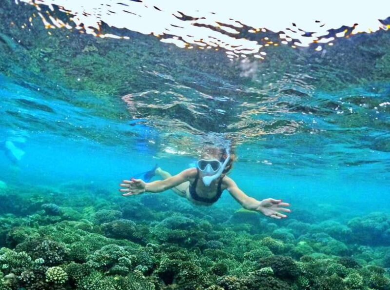 Phu Quoc Small-group Snorkeling to the Coral Jungle Reef - FAQ