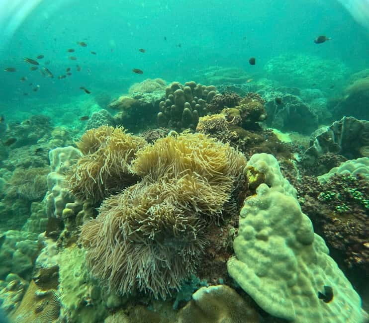 Phu Quoc: Snorkeling and Island Hopping by Speedboat & Lunch - An In-Depth Look at the Tour Experience