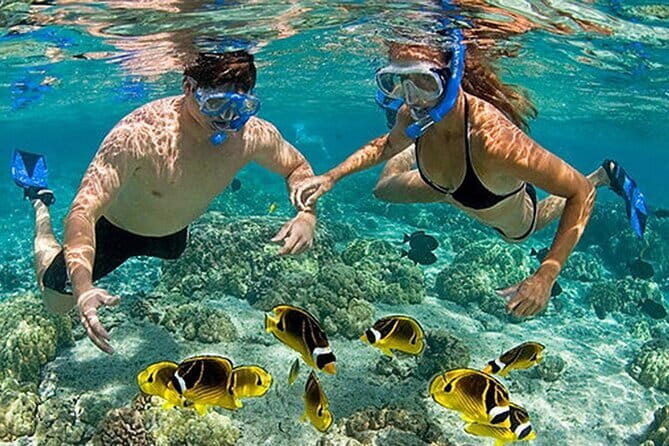 Phu Quoc: Snorkeling and Island Hopping By Speedboat with Lunch - The Realities: Challenges and Considerations
