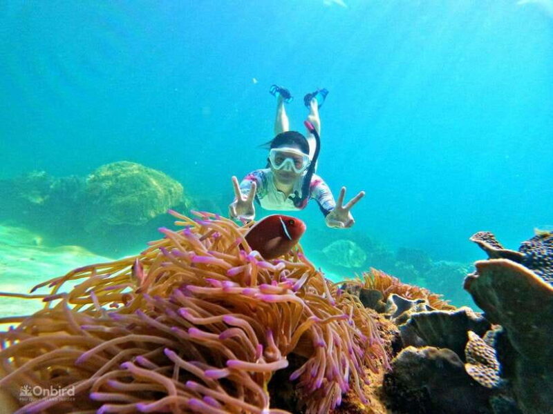 Phu Quoc: Speed Boat Tour 4 Islands - 2 Reefs Snorkeling - Why This Tour Stands Out