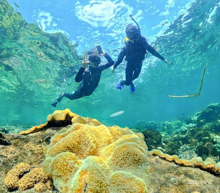 Phu Quoc Speedboat Pro Snorkeling: 4 Islands-2 Reefs & Meal - Key Points