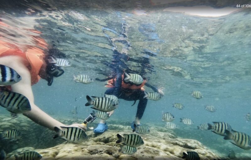 Phu Quoc: Speedboat Tour of 4 Islands with Snorkeling & BBQ - Final Thoughts