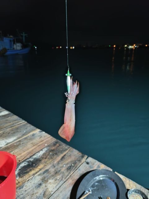 Phu Quoc: Squid Fishing Tour with sunset views & dinner - The Itinerary in Detail