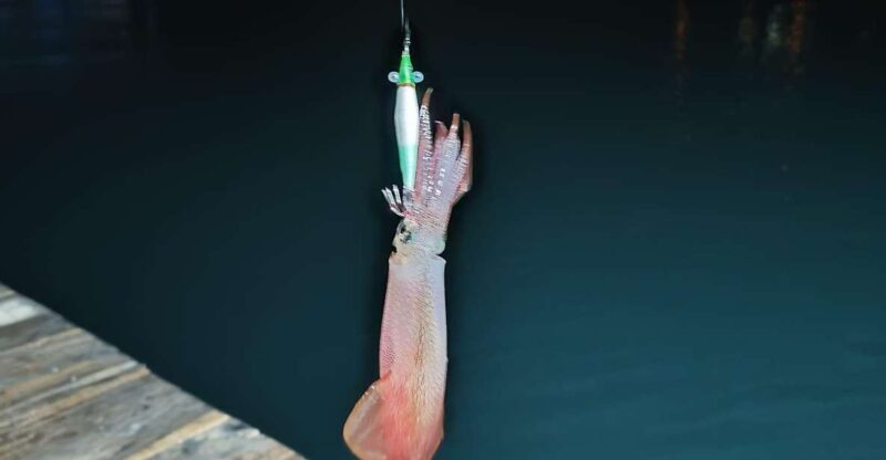 Phu Quoc: Squid Fishing Tour with sunset views & dinner - What to Pack & What to Expect
