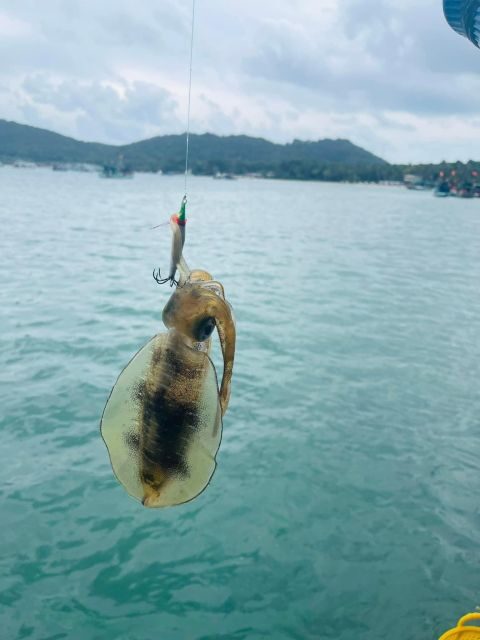 Phu Quoc: Squid Fishing Tour with sunset views & dinner - Authenticity & Local Flavor
