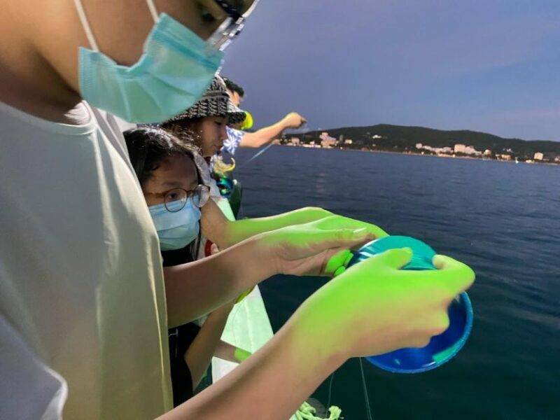 Phu Quoc: Squid Fishing Tour with sunset views & dinner - Who Will Love This Tour?