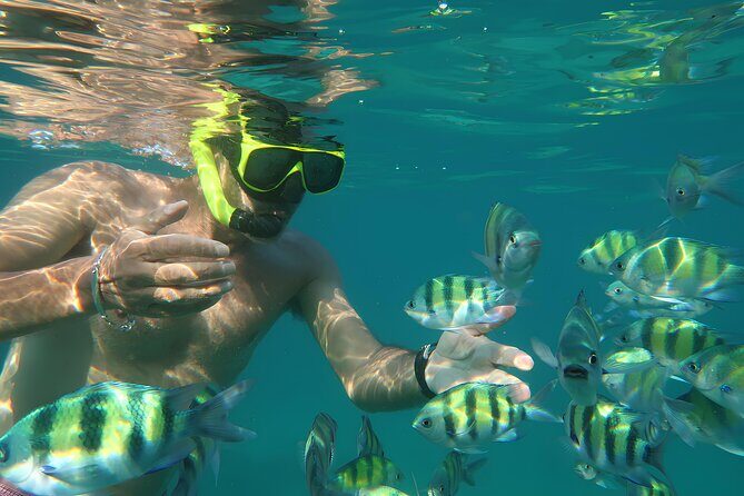 Phuket 3 Khai Island Speedboat With Snorkeling (Half or Full Day) - Detailed Breakdown of the Tour